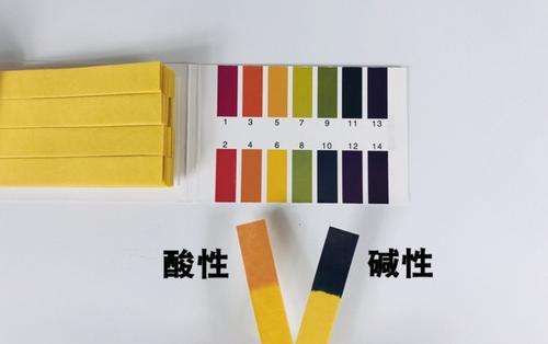 PH试纸